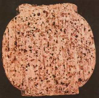 Kopogóbogár kártétele