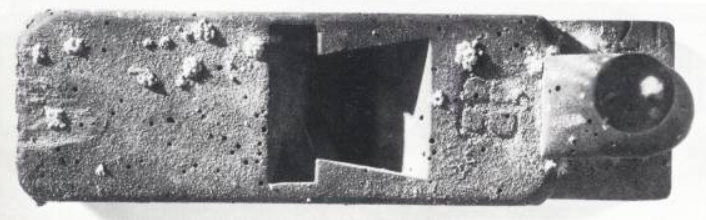 Kopogóbogár kártétele