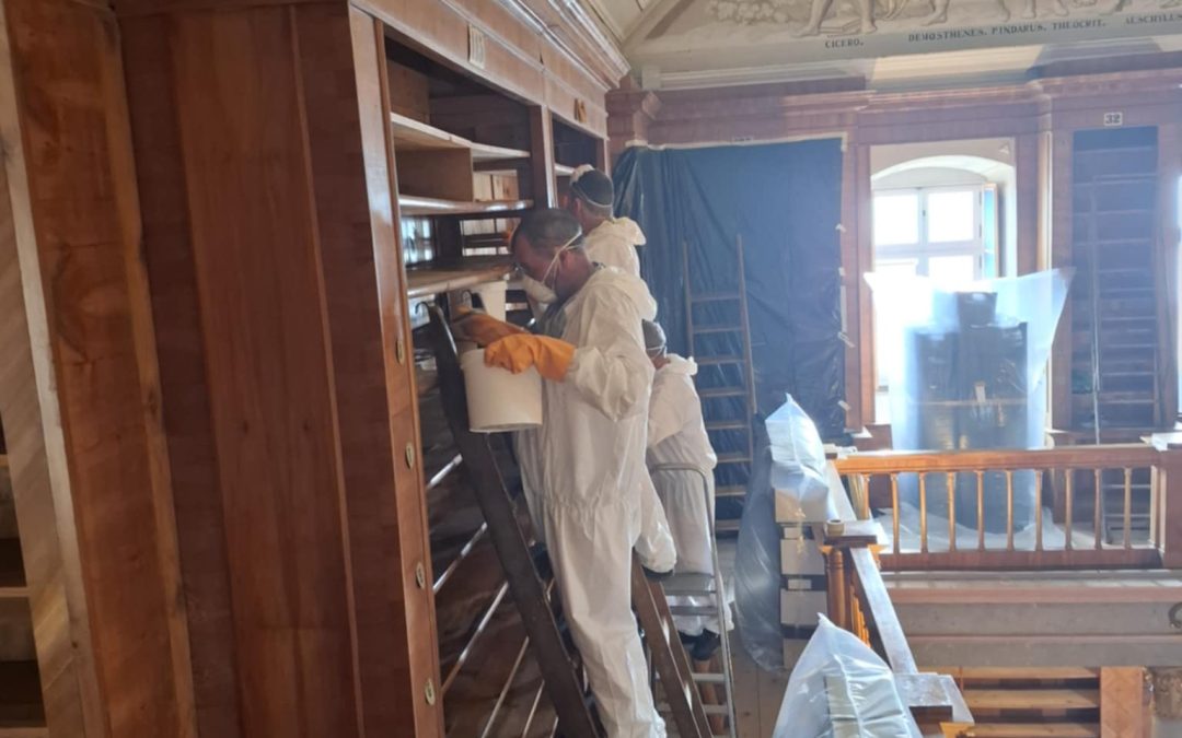 Műemlékvédelem, műtárgyvédelem